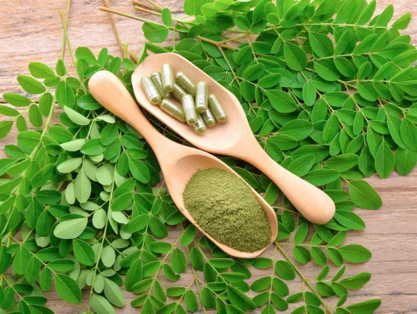 Moringa Leaf Capsules: Your Daily Dose of Vitality